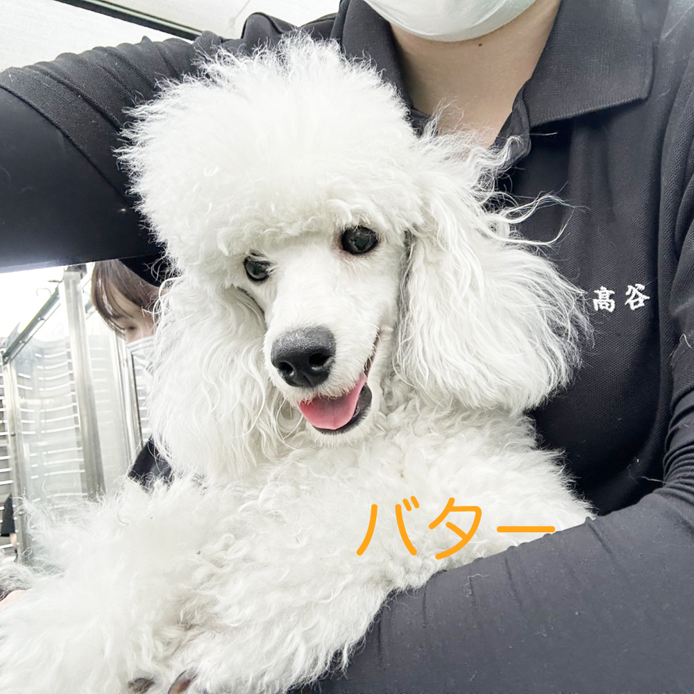 生徒が撮影してくれた写真②